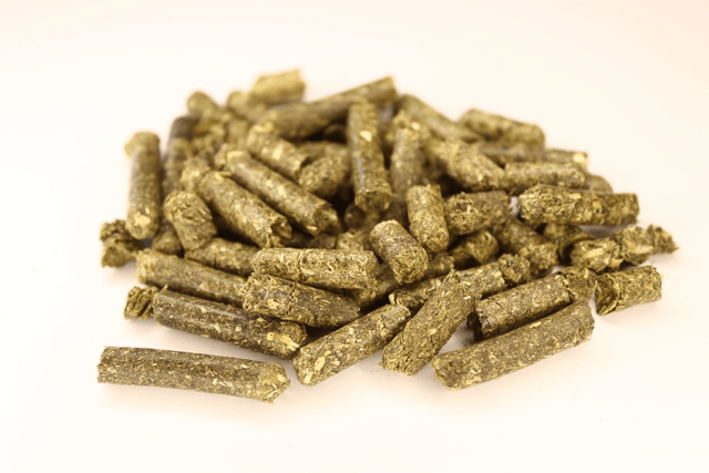 BIO Kräuterpellets + Beikraut Brombeerblätter, Einzelfuttermittel