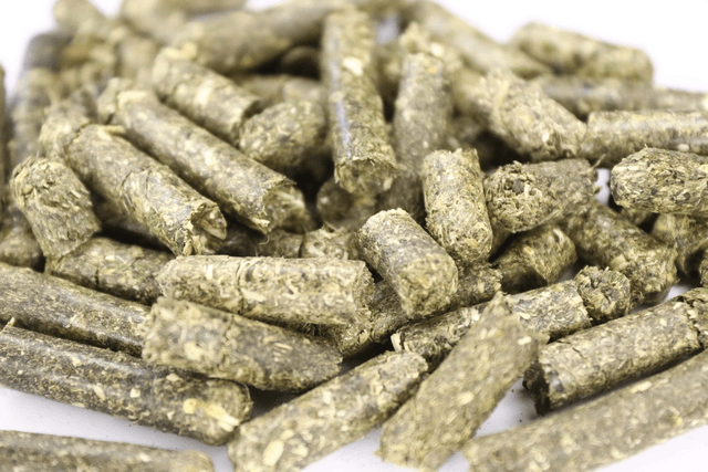 BIO Kräuterpellets + Beikraut Brombeerblätter, Einzelfuttermittel